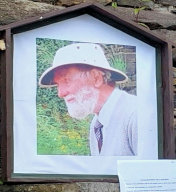 Alternative Well Dressing (2)