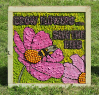 Sheep Roast Well Dressing (24)