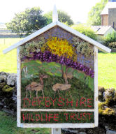 Children&rsquo;s Well Dressing