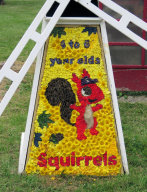 Windmill Well Dressing