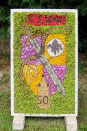 Children&rsquo;s Well Dressing