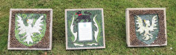 Rainbows, Brownies, and Guides Well Dressings