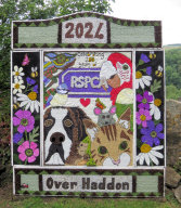 Adult Well Dressing