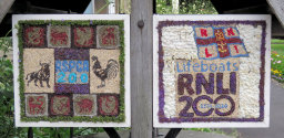 Rotary Club Well Dressings