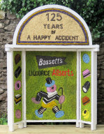 Village Pump Well Dressing