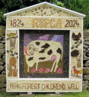 Old Dam Well Dressing