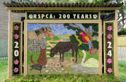 The Small Well Dressing