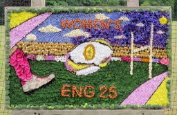 Cricket Club Well Dressing