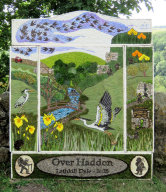Adult Well Dressing