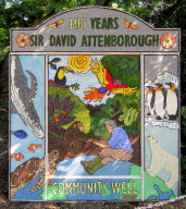 Community Well Dressing