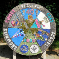 Scout Group Well Dressing
