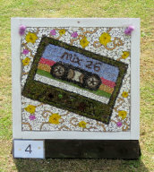 Chloe Guest Well Dressing