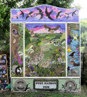 Adult Well Dressing