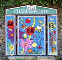 Charlesworth School Well Dressing (1)