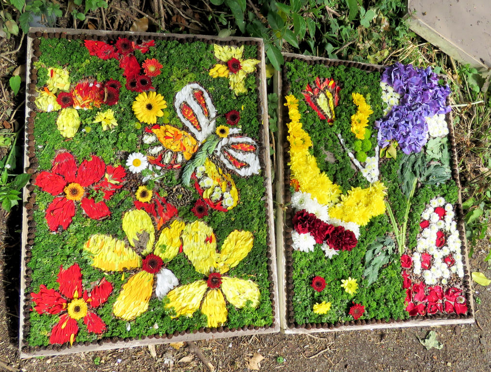 Have-a-Go Well Dressings