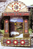 Myasthenia Gravis Association Well Dressing