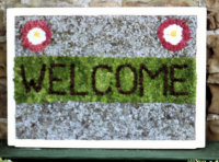 Additional Well Dressing