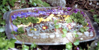 Additional Well Dressing