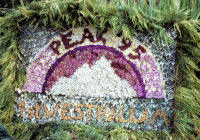 Guides Well Dressing