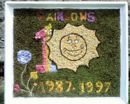 Rainbows Well Dressing