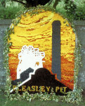 St John Ambulance Well Dressing