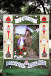 Carr Lane Well Dressing